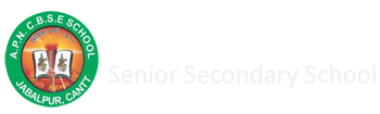 APN CBSE Senior Secondary School